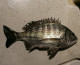 080109-03.jpg